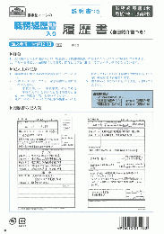 職務経歴書入り履歴書(自己紹介書つき)(B5判)