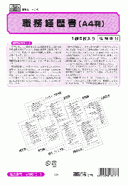 職務経歴書(説明書つき)(A4判)